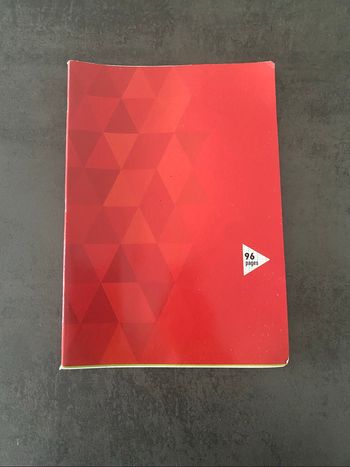 cahier 21*29 grands carreaux