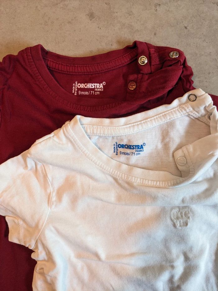 T-shirt manches courtes 9 mois - photo numéro 3
