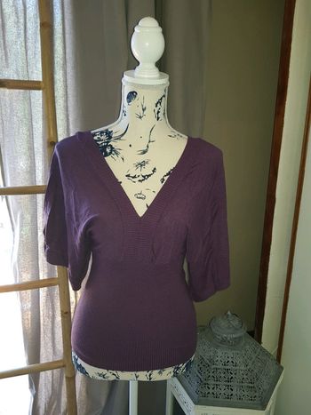 Petit haut violet décolleté en V devant et dans le dos