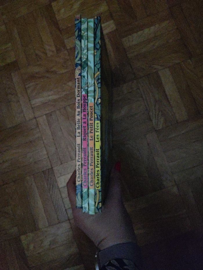 Contes de Charles Perrault - photo numéro 3