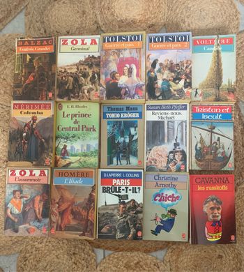 Lot 15 livres de poche