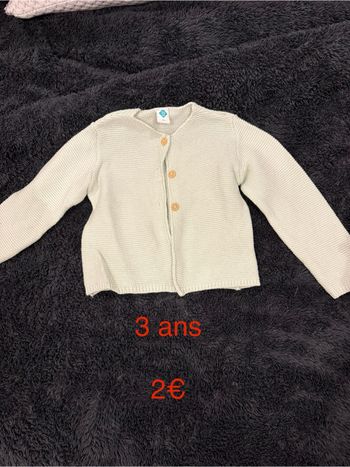 Gilet