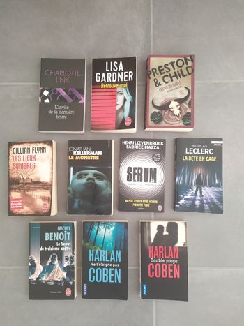 Romans policiers / thriller lot 1