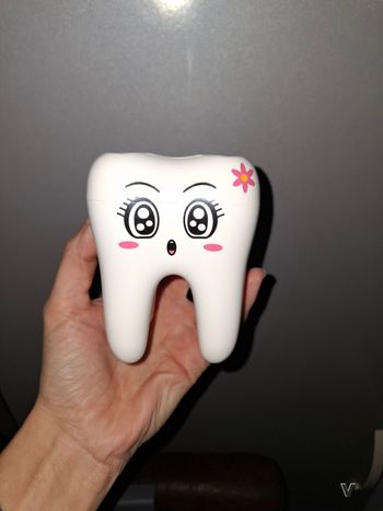 Porté brossé à dent