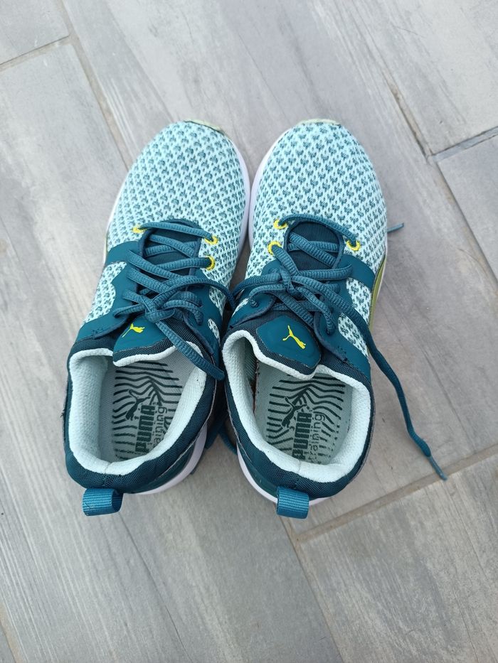 Basket training puma
