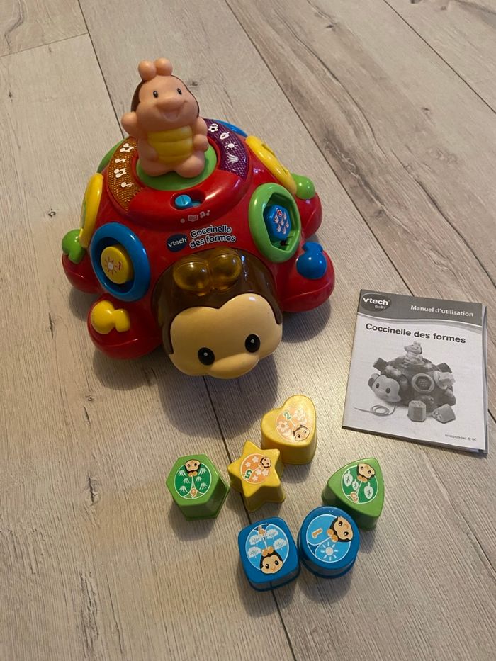 Coccinelle des formes