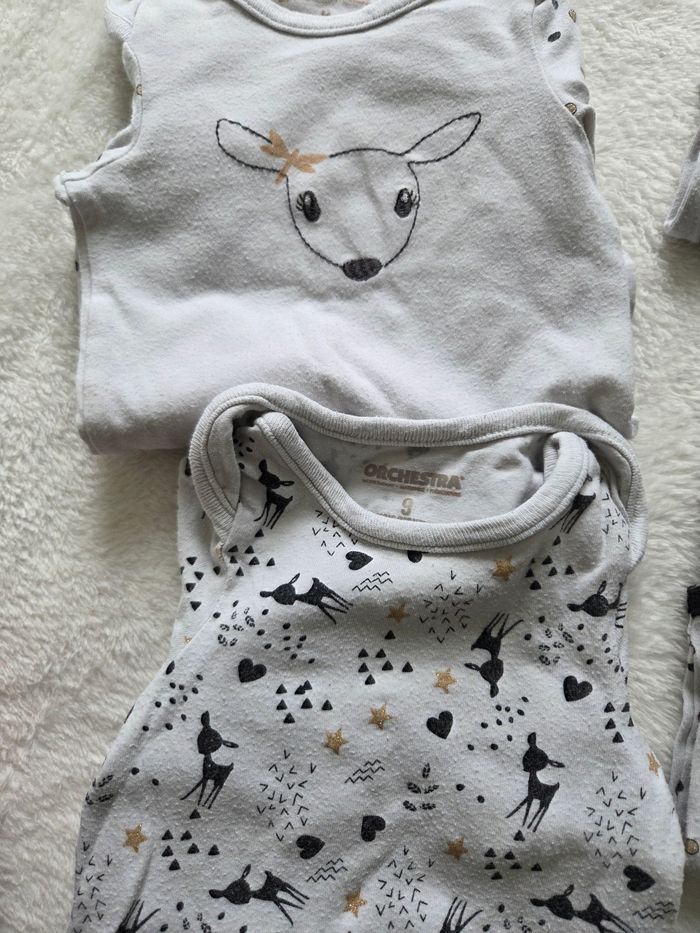 Lot bodies - photo numéro 3