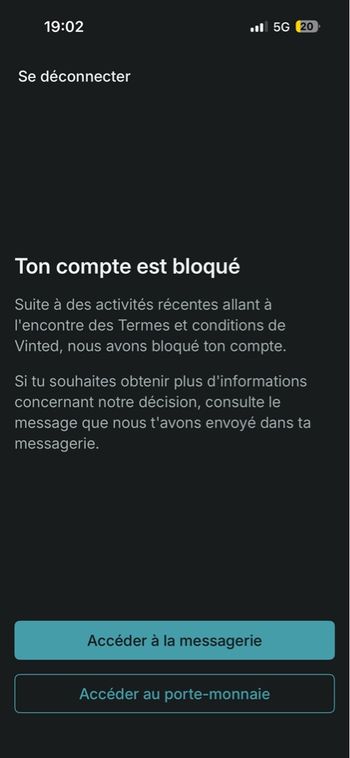 Veste Adidas chinesse 