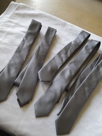 Lot de 5 cravates  grise toutes pareilles