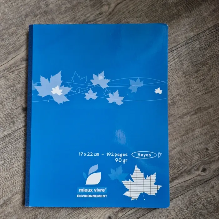 Petit cahier grand carreaux