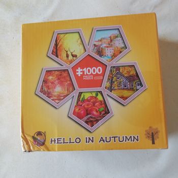 Puzzle 1000 pièces. Dd1131