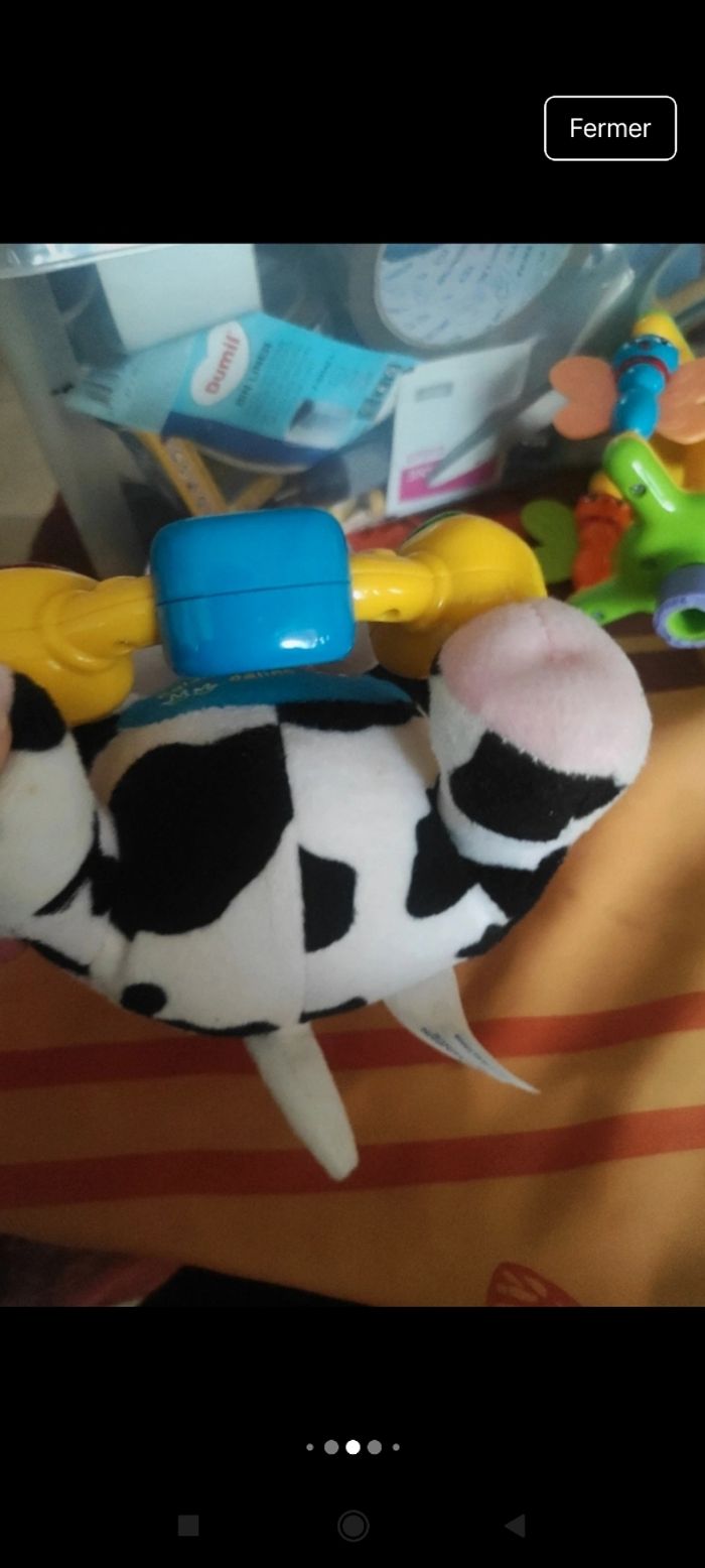 Églantine la vache câline j9 - photo numéro 7