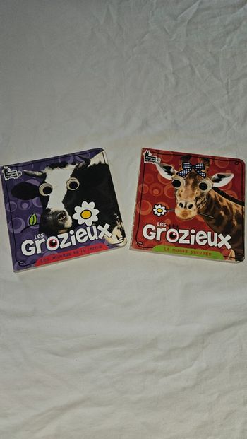 Lot 2 livres enfant Les Grozieux