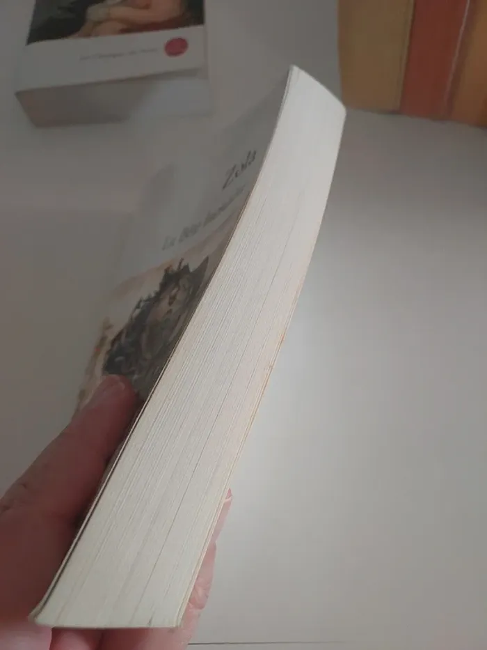 La Bête Humaine ÉMILE Zola - photo numéro 3