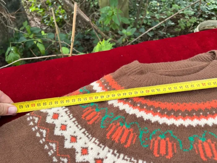 Pull Automnal Citrouilles Enchantées Super Doux Ne pique Pas ! - photo numéro 10