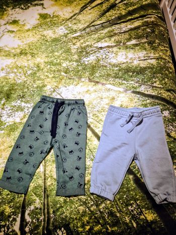Lot de 2 pantalons 