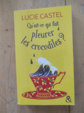 Qu'est-ce qui fait pleurer les crocodiles Lucie Castel Harlequin 2019