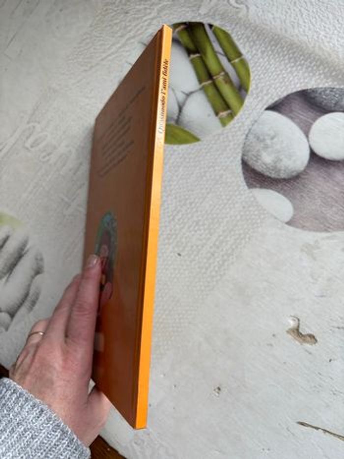 Livre Disney - photo numéro 6