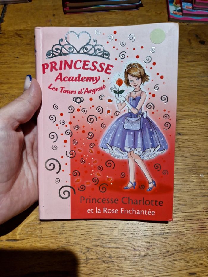 Princesse Academy les tours d'argent