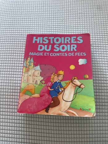 Livre histoire du soir magie et contes de fées
