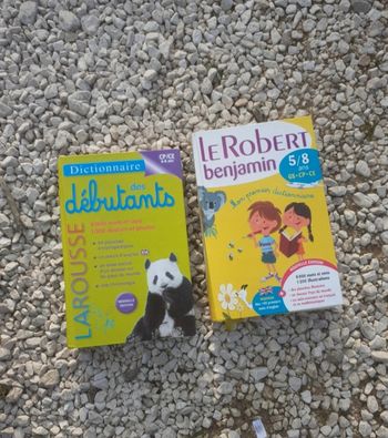 Lot 2 dictionnaires Larousse et Robert