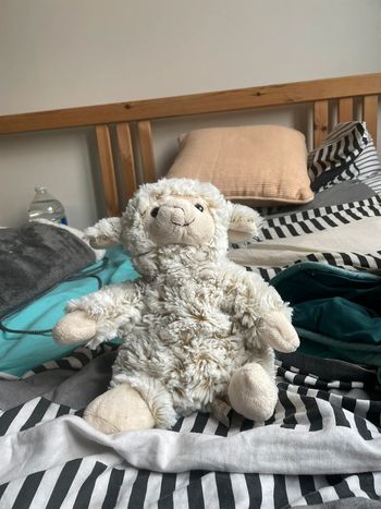 Petit doudou mouton