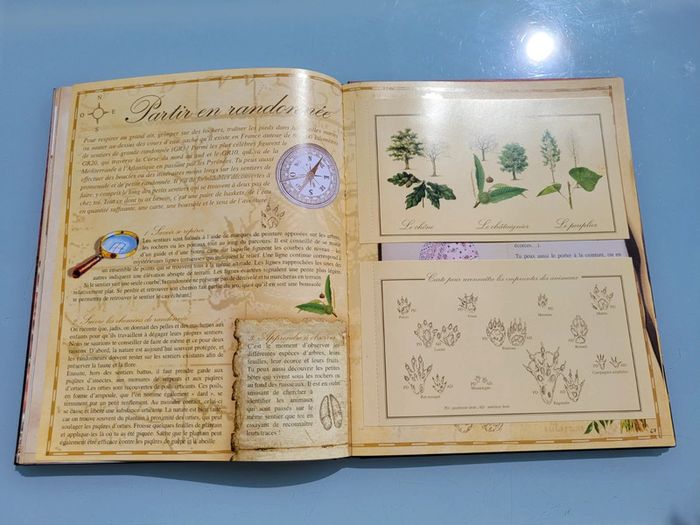 Livre d'activités Le Girls' Book, tout ce qu'elles adorent de 7 à 77 ans (39) - photo numéro 13