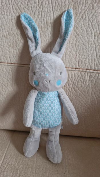 Lapin klorane oreilles et ventre bleu