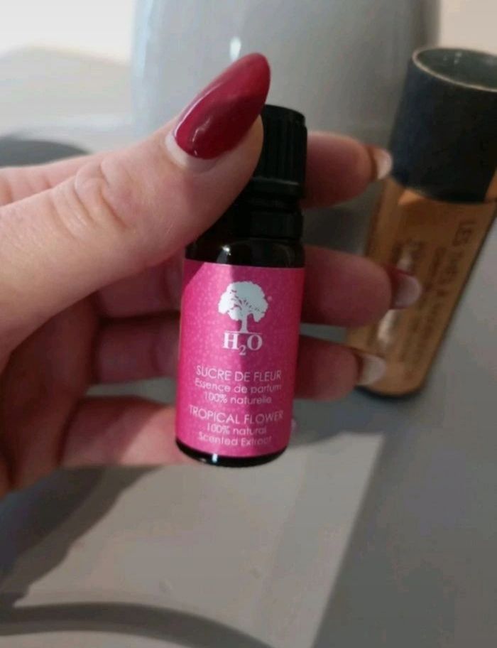 Diffuseur cire H2O - photo numéro 4