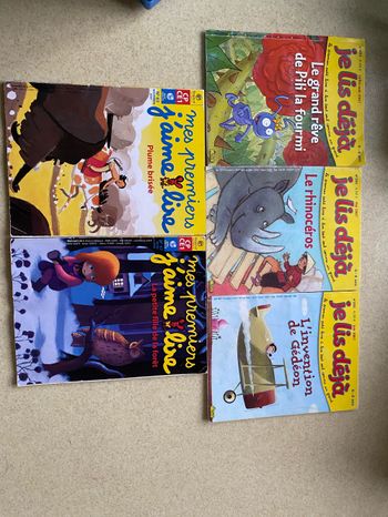 Lot de 5 livres Je lis déjà