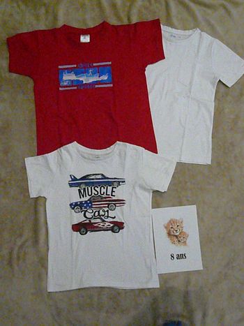 Lot de 3 tee-shirts 8 ans (n°38)