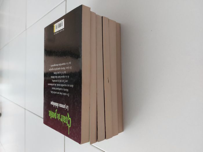 Lot de 6 livres chair de poule RL Stine - photo numéro 5