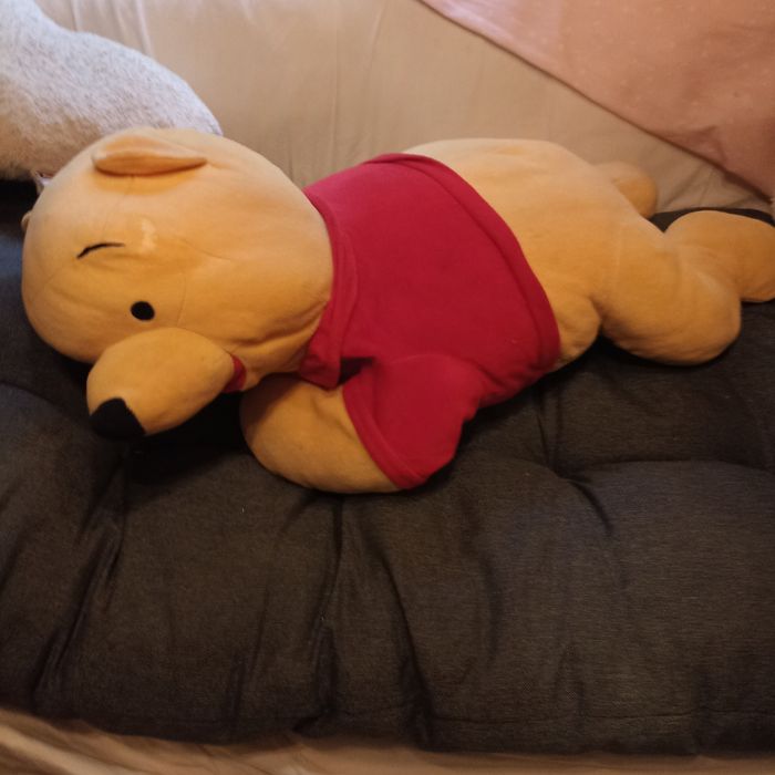 Pluche Winnie