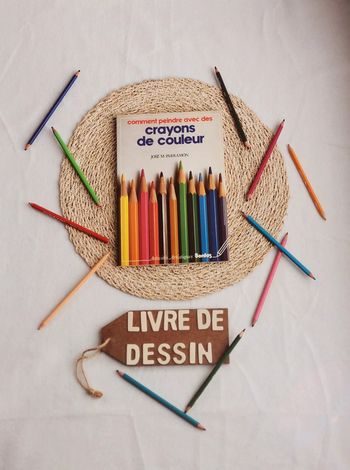 Livre 📙 comment peindre avec des crayons de couleur, bordas parramon