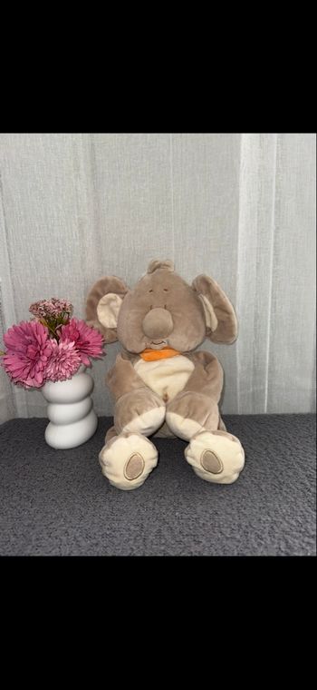 Doudou koala