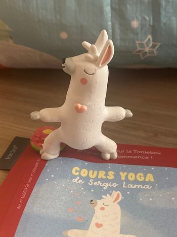 Tonies cours yoga de Sergio lama