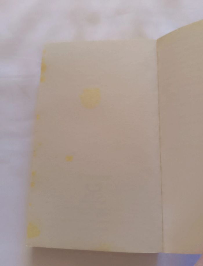 Livre: prisonnière a Téhéran - photo numéro 3