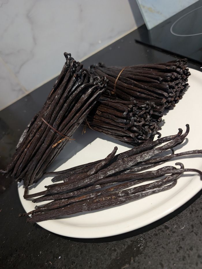 10 vanille bourbon de Madagascar
