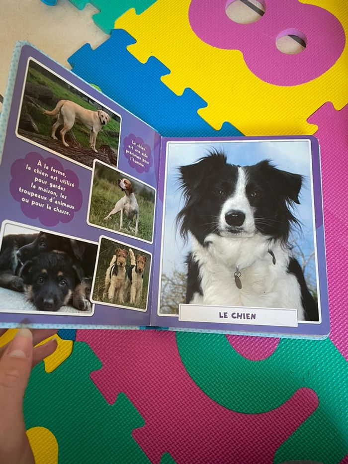 Livre de la ferme - photo numéro 2