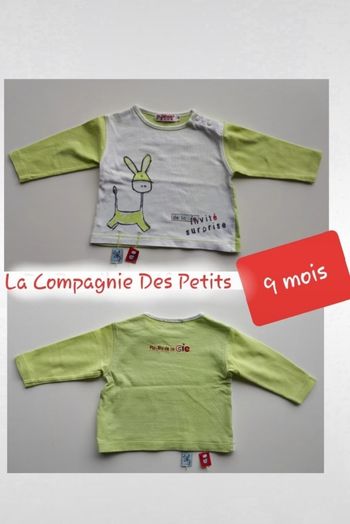💚 Superbe T-shirt bicolore (9 mois) 💚