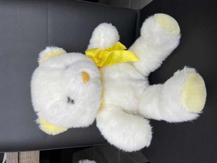 ours blanc - photo numéro 2