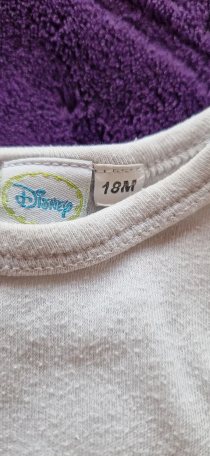 Lot de 4 bodies 12 et 18 mois mixte - photo numéro 6