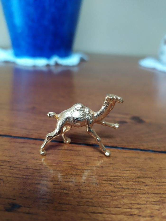 Fève Dromadaire - photo numéro 2