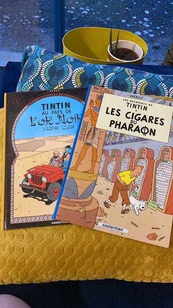 Lot de livres collector tintin