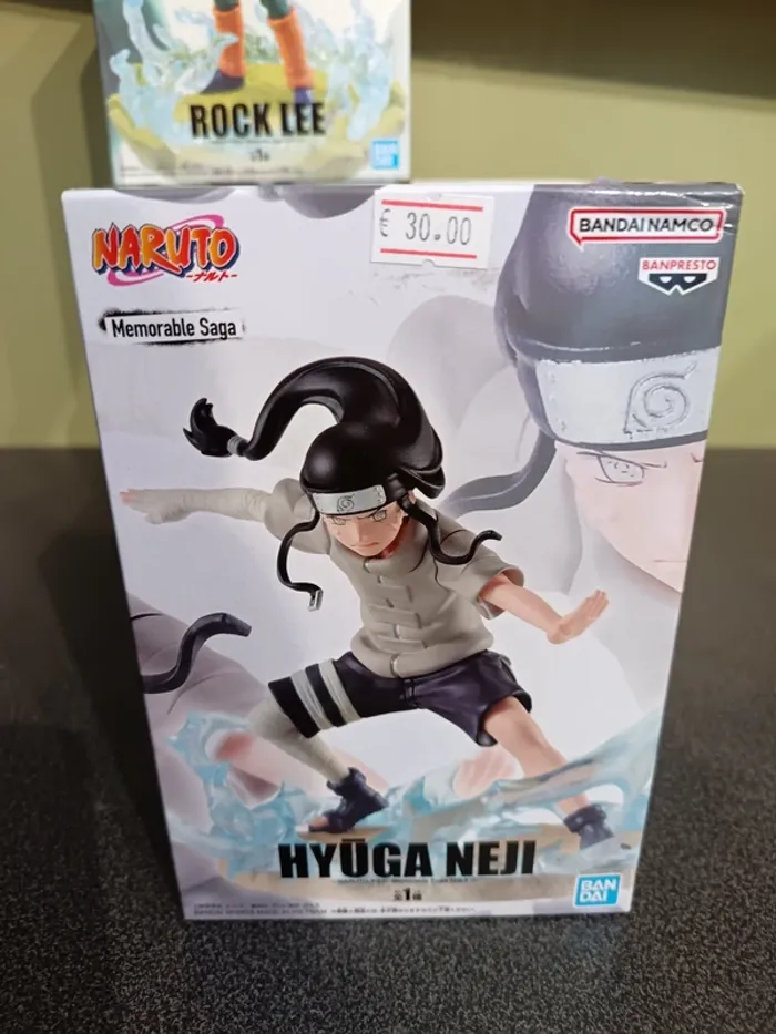Naruto Mémorable saga Neji Hyuga