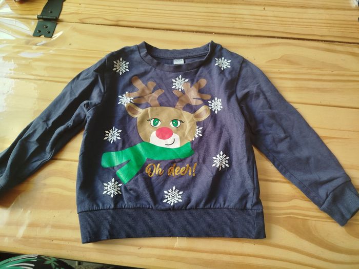 Pull renne