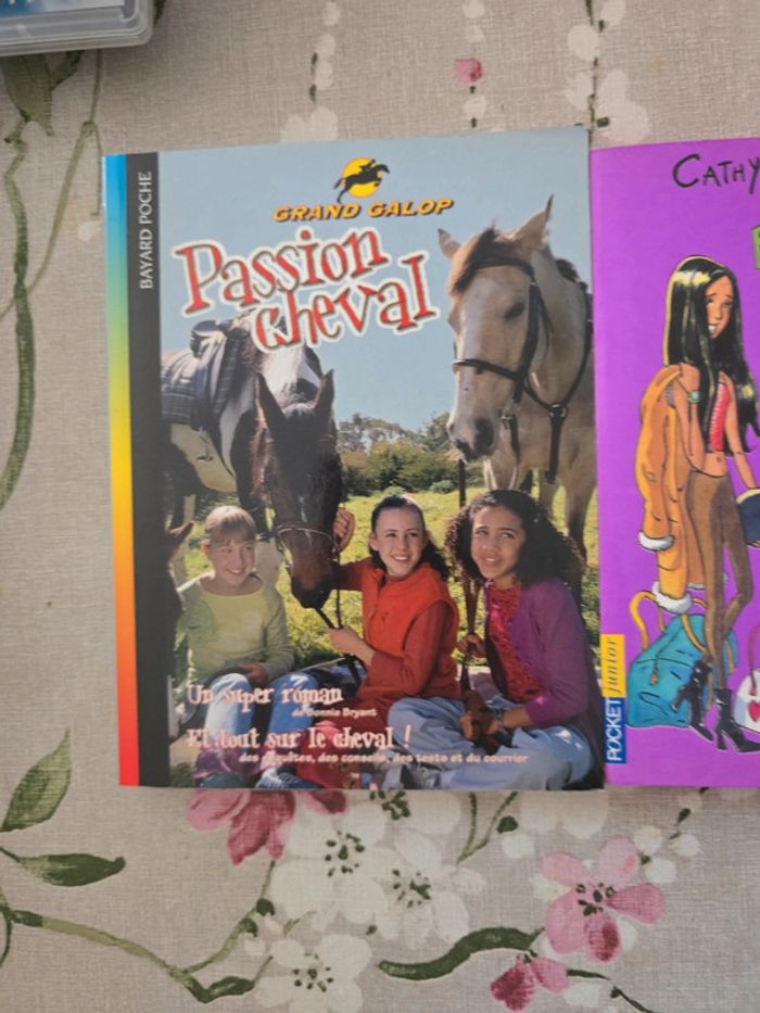Lot livres adolescente - photo numéro 2