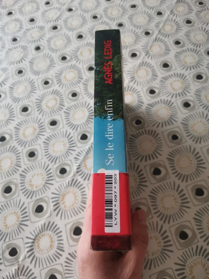 Agnès Ledig Se le dire enfin - photo numéro 3