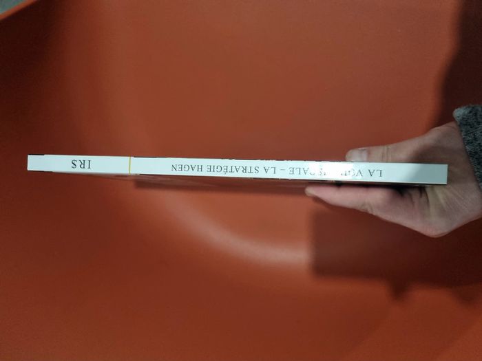 double album I.R.S irs la voie fiscale et la stratégie Hagen - photo numéro 7