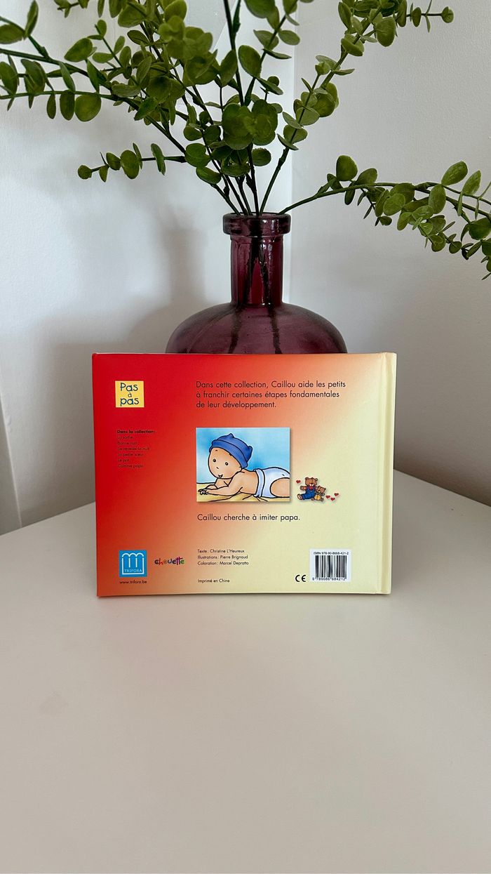 đ€ Livre caillou comme papa đ€ - photo numĂ©ro 2